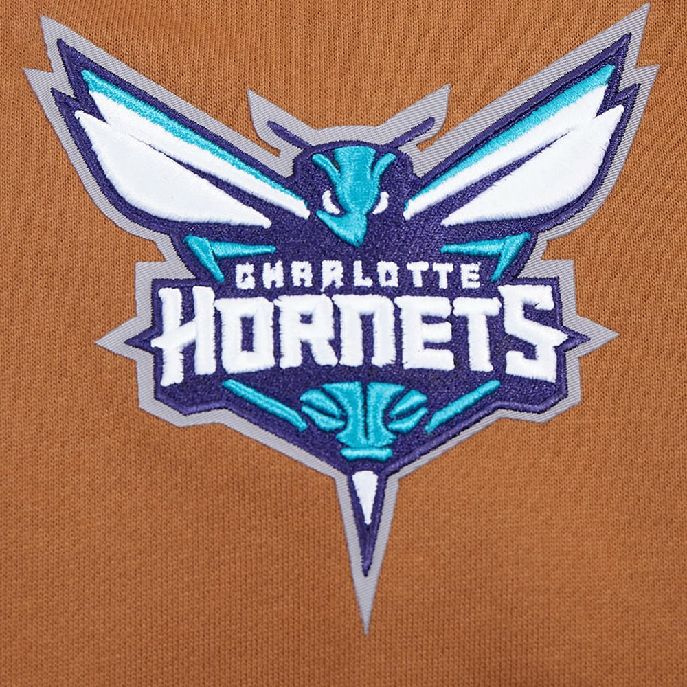 Charlotte Hornets Pro Standard Paint the City Drop Shoulder Pullover Hoodie Outlet