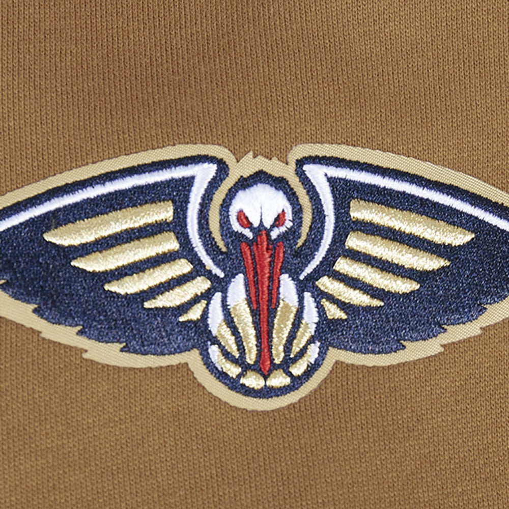 New Orleans Pelicans Pro Standard Paint the City Drop Shoulder Pullover Hoodie On Sale