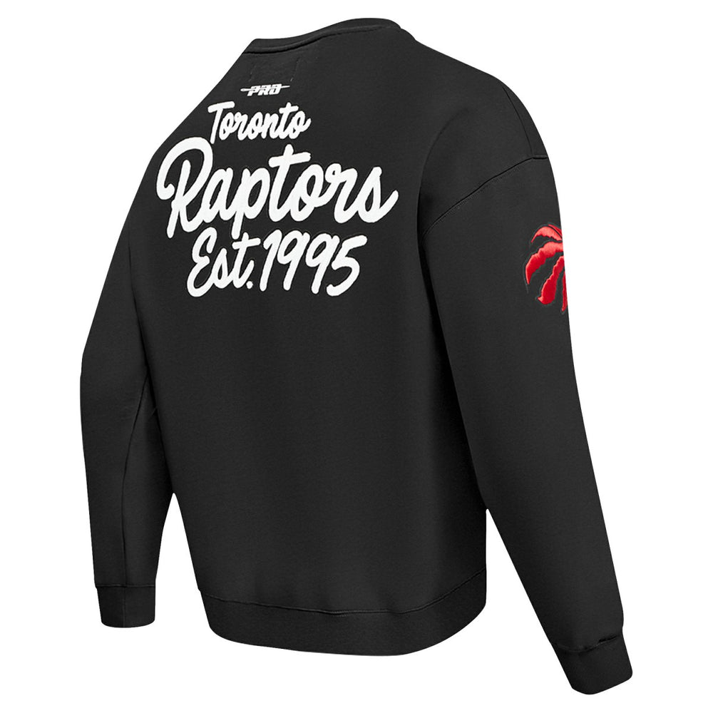 Toronto Raptors Pro Standard Paint the City Drop Shoulder Sweatshirt On Sale