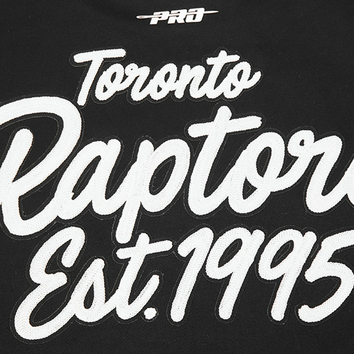 Toronto Raptors Pro Standard Paint the City Drop Shoulder Sweatshirt On Sale