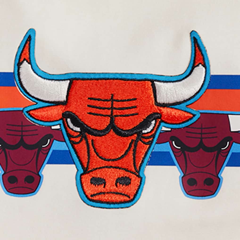 Chicago Bulls Pro Standard Women's Retro Striper SJ Cropped Boxy T-Shirt sale Discount