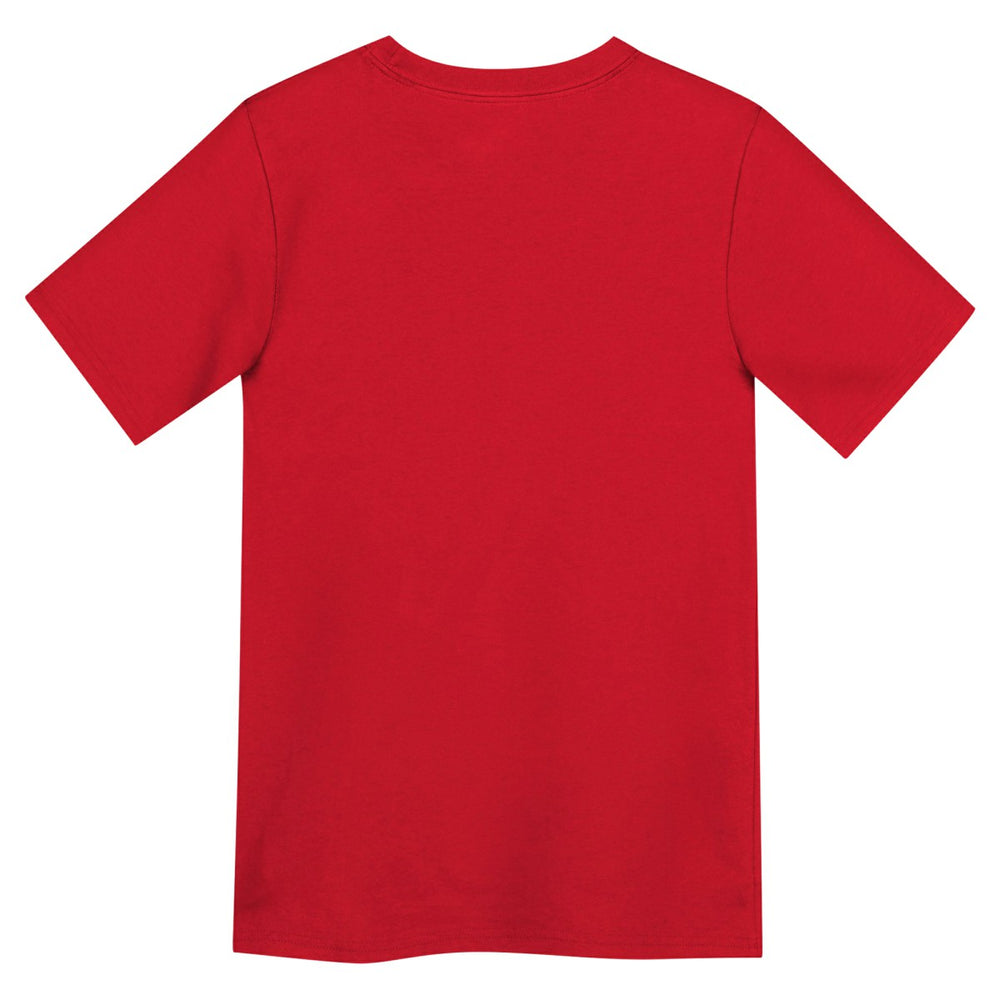 Washington Wizards Jordan Brand Preschool Essential Jumpman T-Shirt Discount