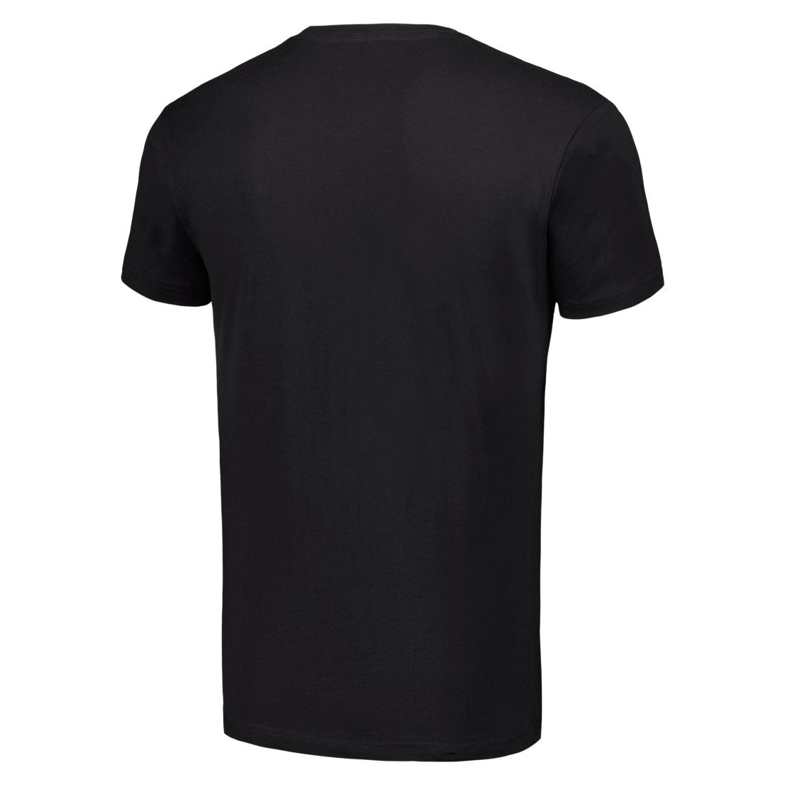Detroit Lions  Starter Team Mesh Print Graphic T-Shirt