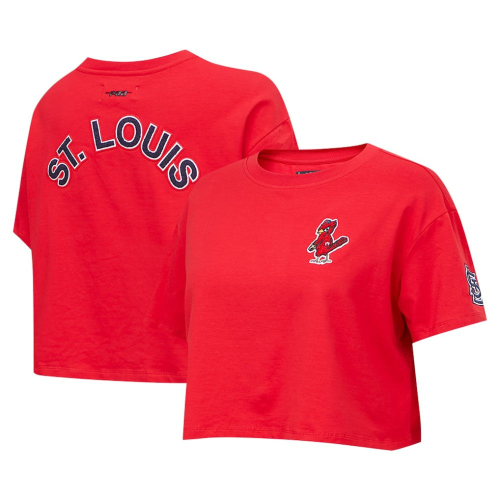 Washington Nationals Pro Standard Women's Classic SJ Cropped Boxy T-Shirt | MLB Sale