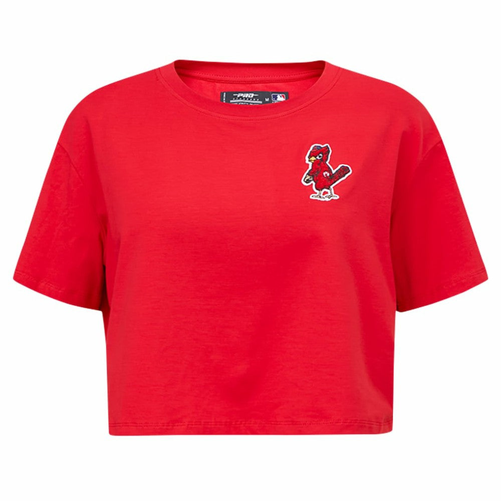 Washington Nationals Pro Standard Women's Classic SJ Cropped Boxy T-Shirt | MLB Sale