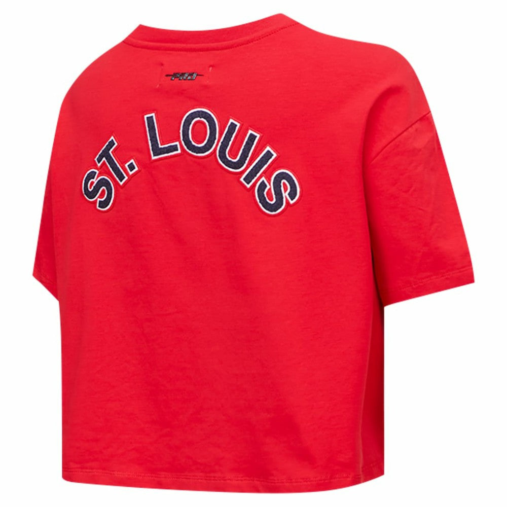 Washington Nationals Pro Standard Women's Classic SJ Cropped Boxy T-Shirt | MLB Sale