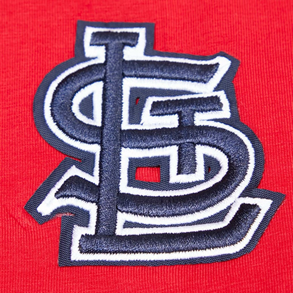 Washington Nationals Pro Standard Women's Classic SJ Cropped Boxy T-Shirt | MLB Sale