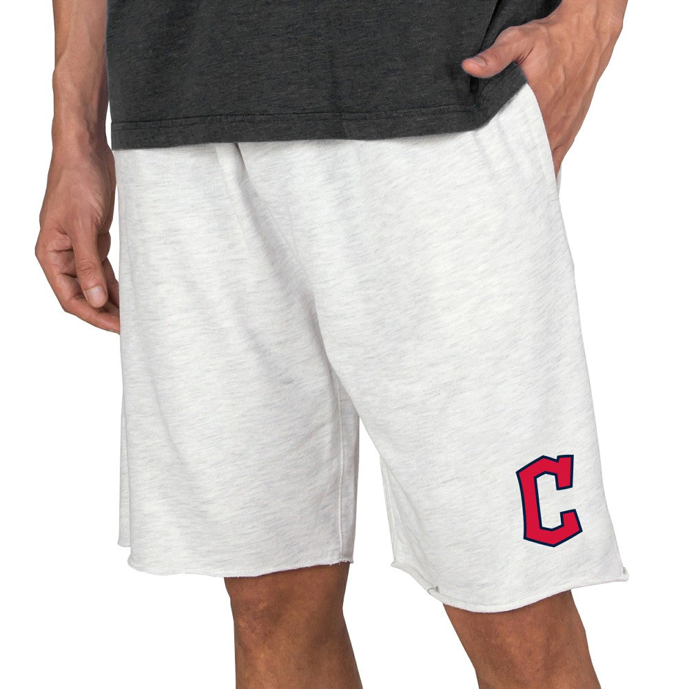 Cleveland Guardians Concepts Sport Mainstream Terry Tri-Blend Shorts | MLB Discount