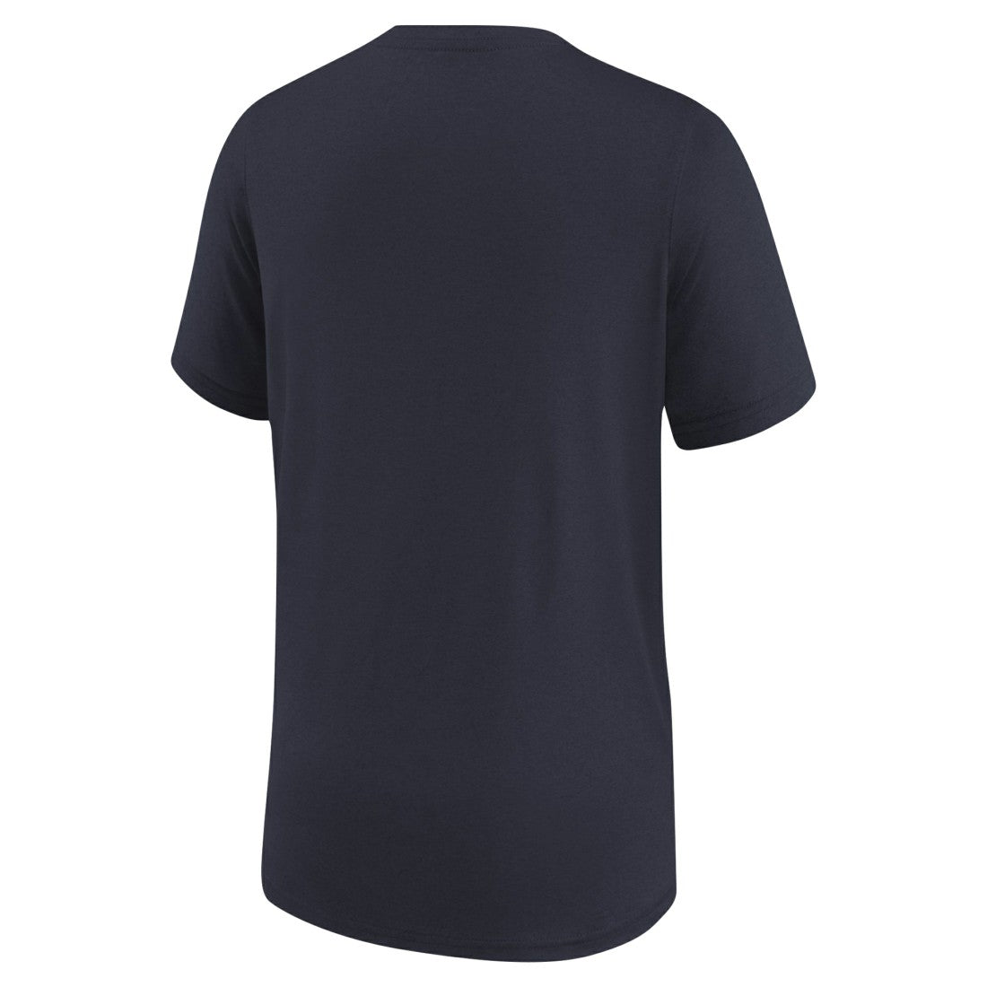 Houston Texans Nike Preschool Legend Icon Performance T-Shirt