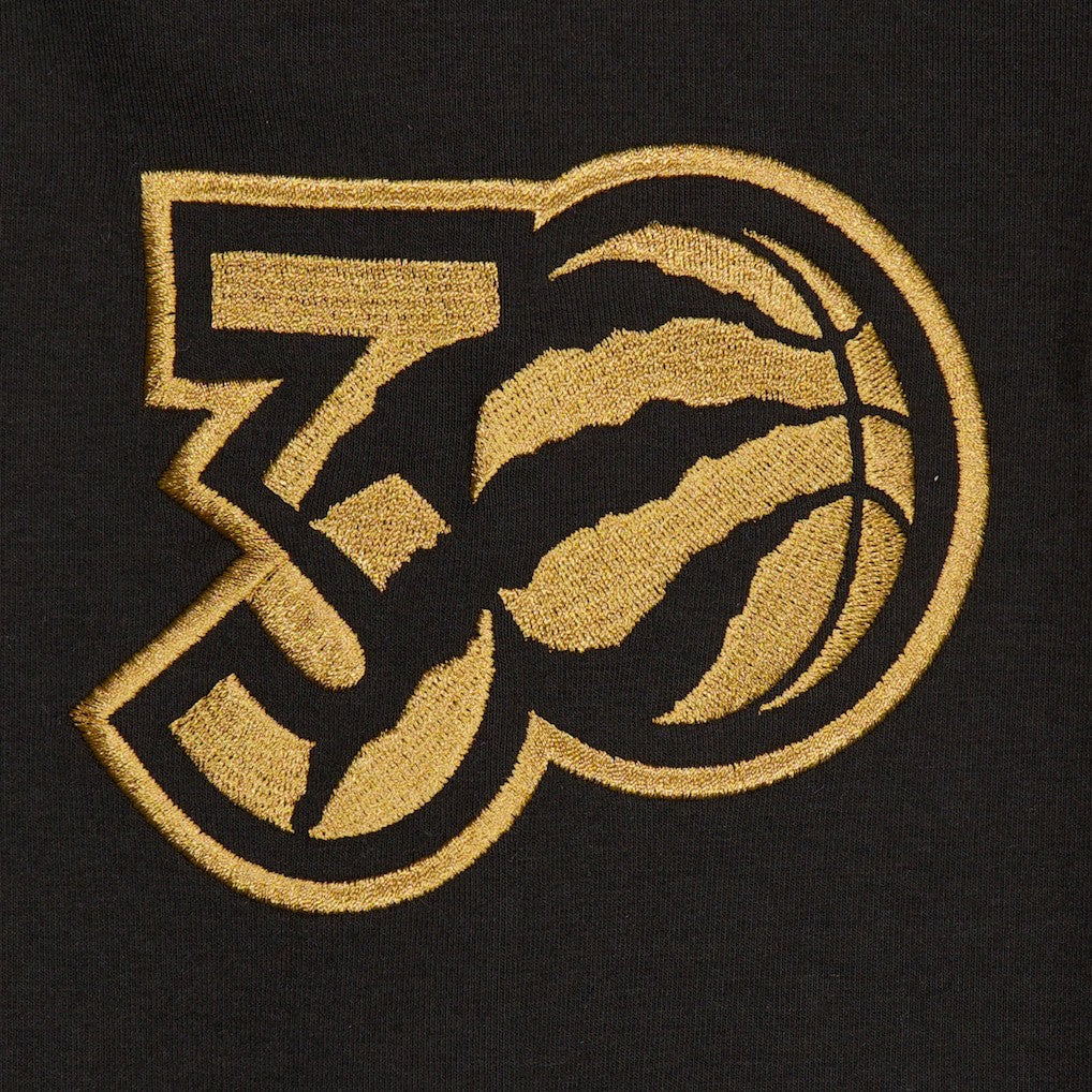 Toronto Raptors 2024/25 City Edition Chenille Heavyweight Pullover Hoodie Outlet
