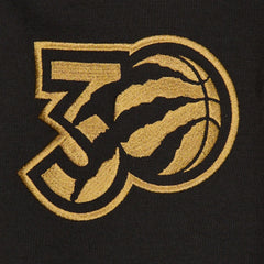 Toronto Raptors 2024/25 City Edition Chenille Heavyweight Pullover Hoodie Outlet