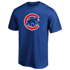 Pete Crow-Armstrong Chicago Cubs Fanatics Big & Tall Name & Number T-Shirt | MLB Sale