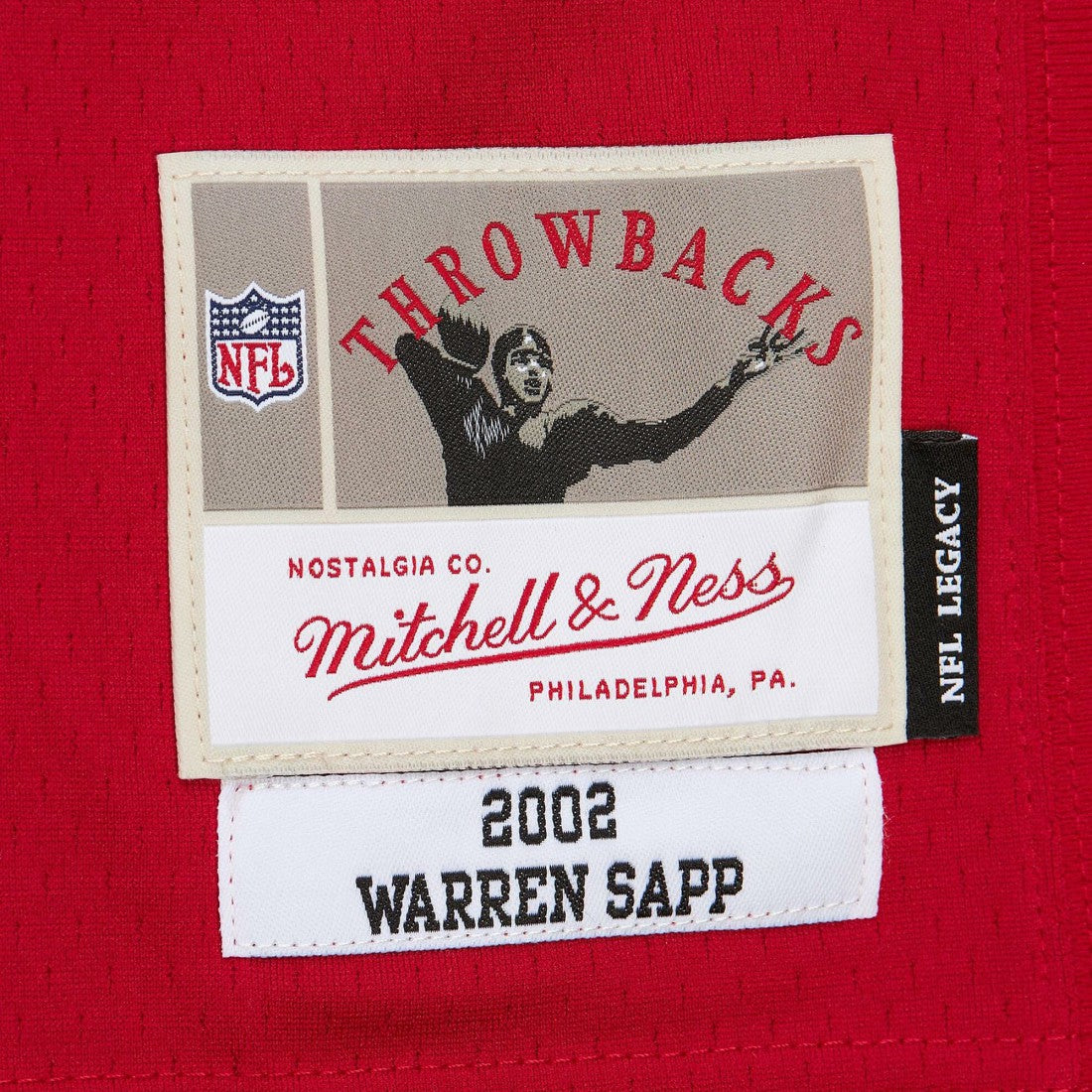Tampa Bay Buccaneers Mitchell & Ness Warren Sapp  2002 Legacy Replica Jersey