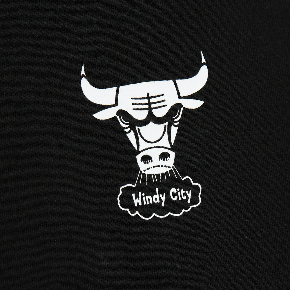 Chicago Bulls Hardwood Classics Contrast 2K Graphic T-Shirt sale Discount