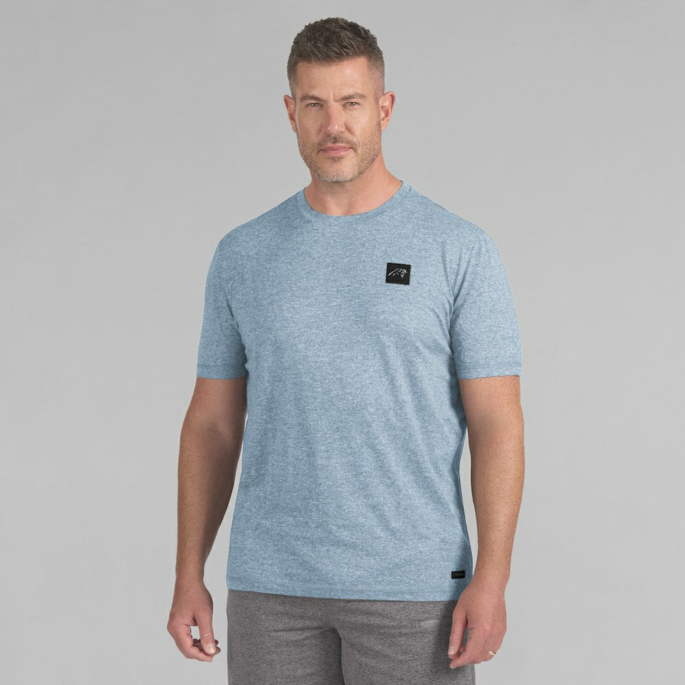 Carolina Panthers  J. Palmer Four Down T-Shirt