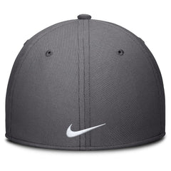 Houston Astros Nike Swoosh Performance Flex Hat | MLB New
