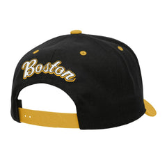 Boston Bruins Mitchell & Ness Backside Script 2-Tone Pro Crown Adjustable Hat Online