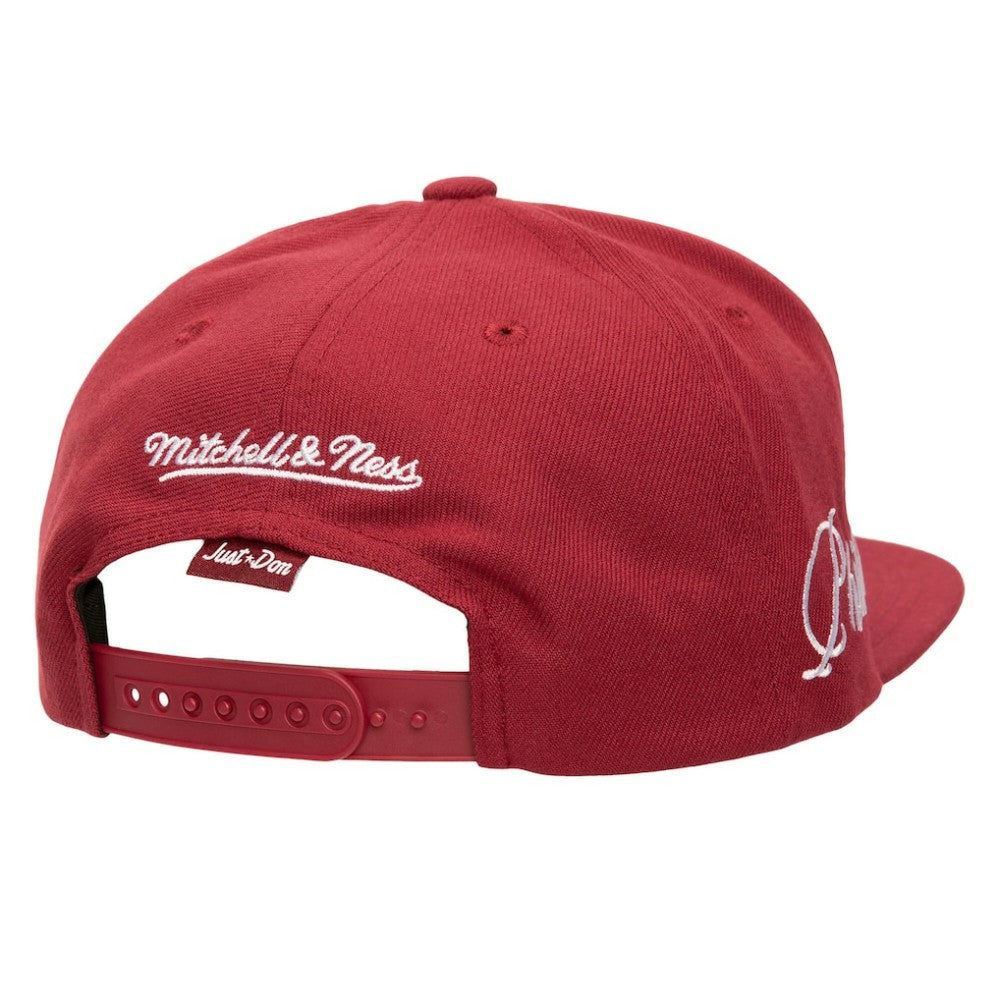 Philadelphia Phillies Mitchell & Ness Just Don x MLB Lux Script Snapback Hat | MLB Shop
