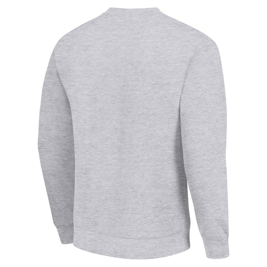 Green Bay Packers  Starter Color Scratch Team Graphic Fleece Pullover Sweatshirt