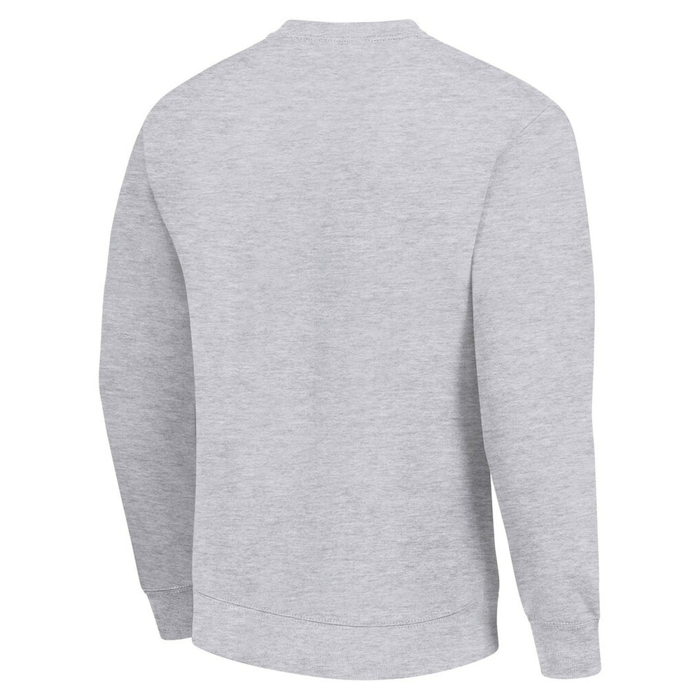 Green Bay Packers  Starter Color Scratch Team Graphic Fleece Pullover Sweatshirt