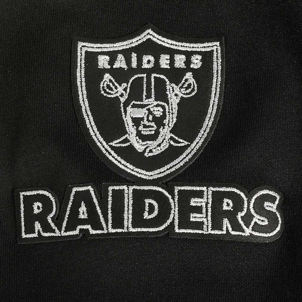 Las Vegas Raiders  Pro Standard Classic Chenille Pullover Hoodie