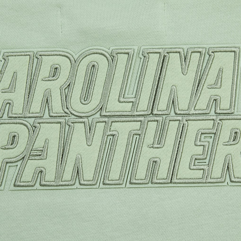 Carolina Panthers  Pro Standard Women's Oversized Cropped Neutral Pullover Sweatshirt