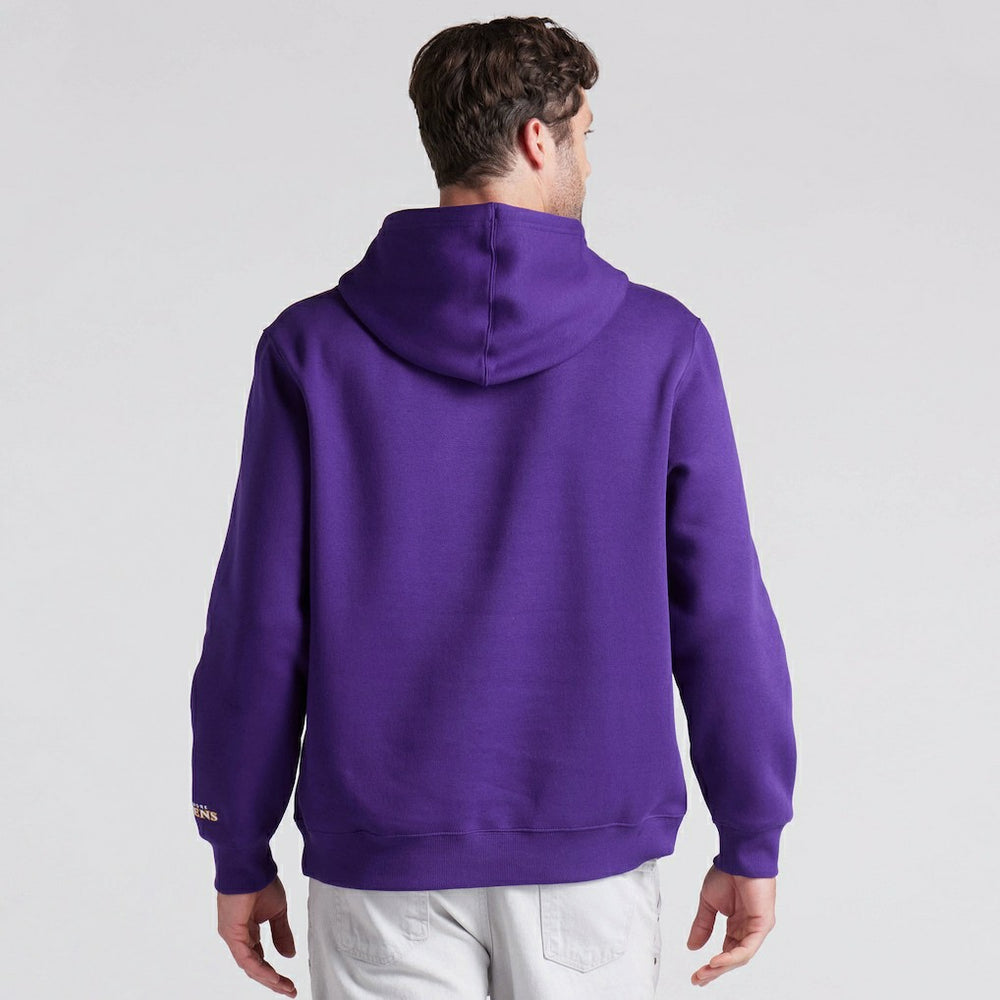 Baltimore Ravens Fanatics Pylon Cam Legacy Pullover Hoodie