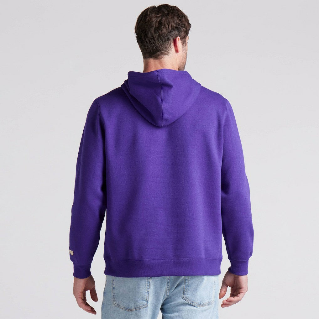 Minnesota Vikings Fanatics Pylon Cam Legacy Pullover Hoodie