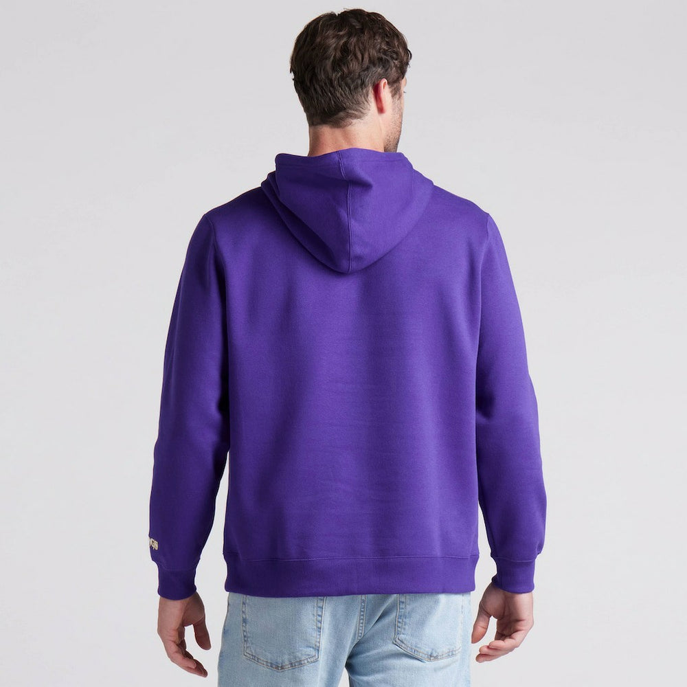 Minnesota Vikings Fanatics Pylon Cam Legacy Pullover Hoodie
