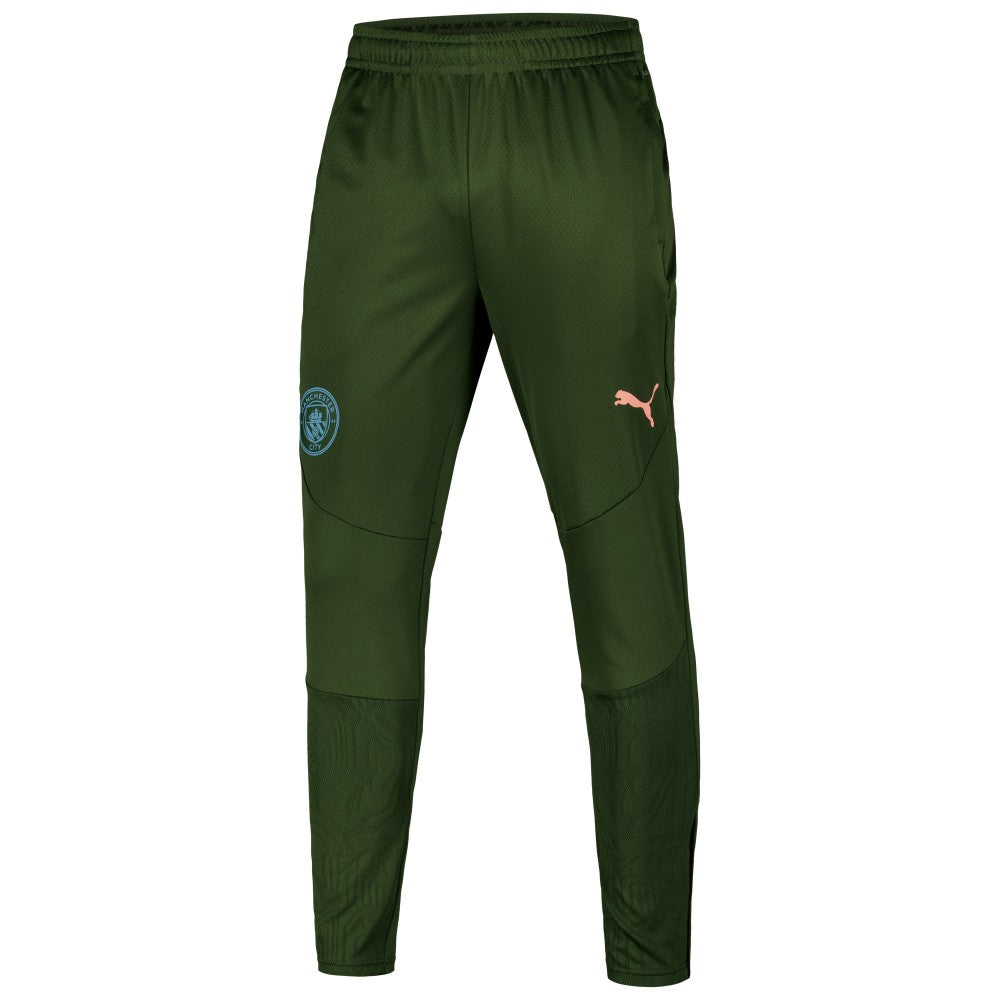 Manchester City 2024/25 dryCELL Training Pants Sky Forest Green - Puma