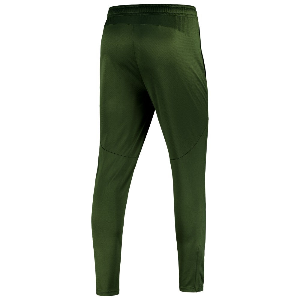 Manchester City 2024/25 dryCELL Training Pants Sky Forest Green - Puma