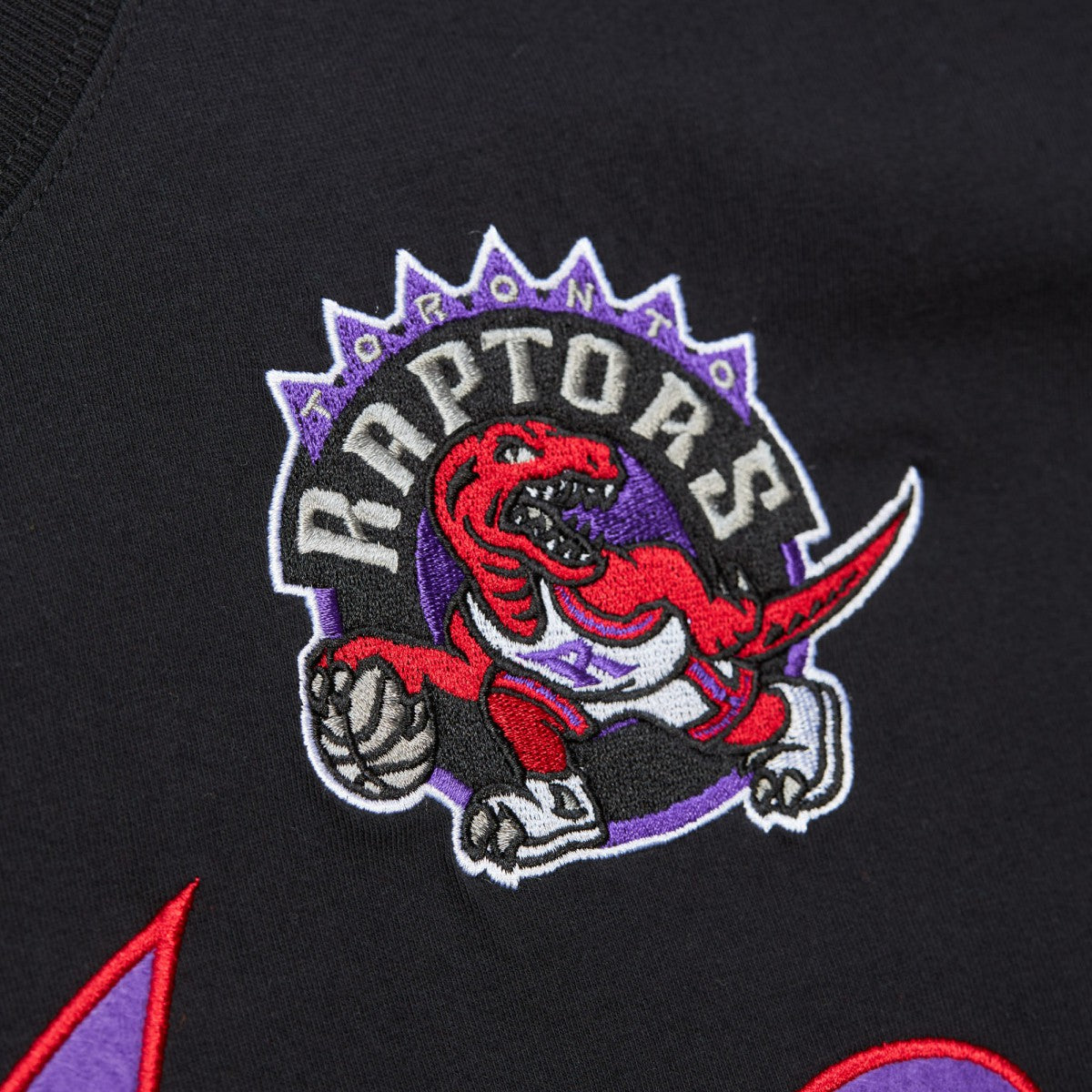 Tracy McGrady Toronto Raptors Premium Nickname T-Shirt For Sale