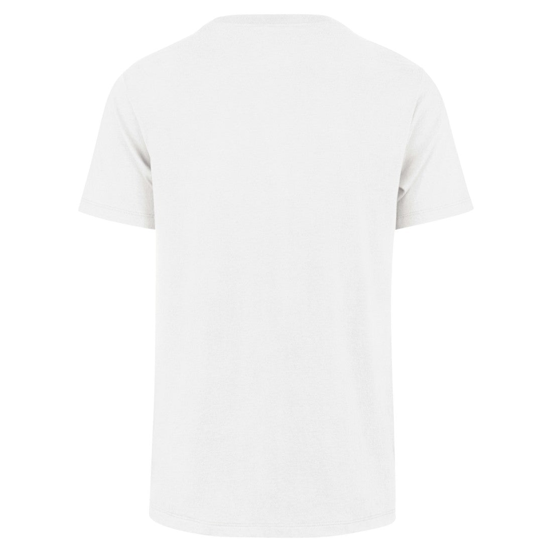 Detroit Lions 47 brand '47 Motor City Pride Franklin T-Shirt