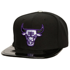 Chicago Bulls Day 11 Snapback Hat On Sale
