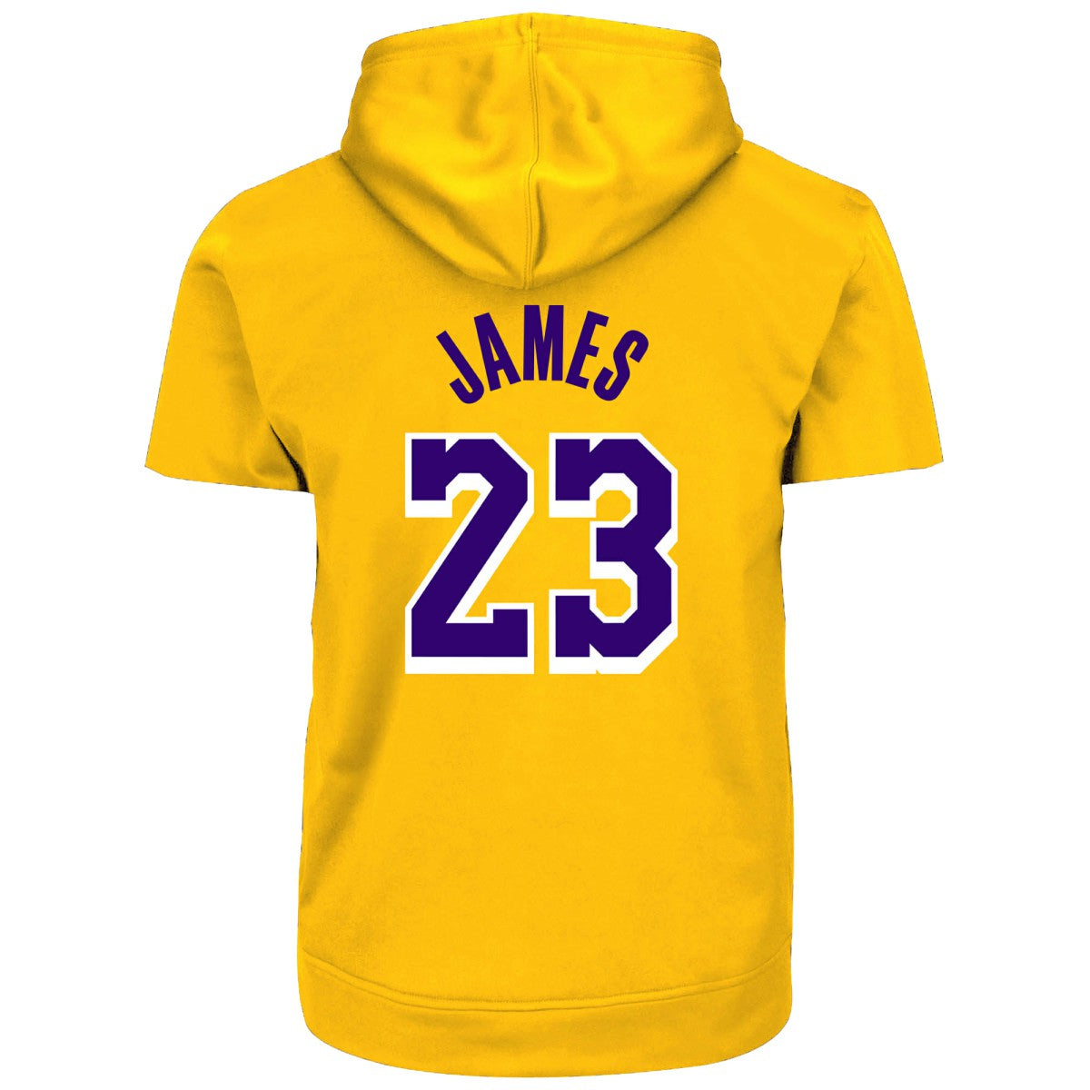 LeBron James Los Angeles Lakers Big & Tall Short Sleeve Hoodie For Sale