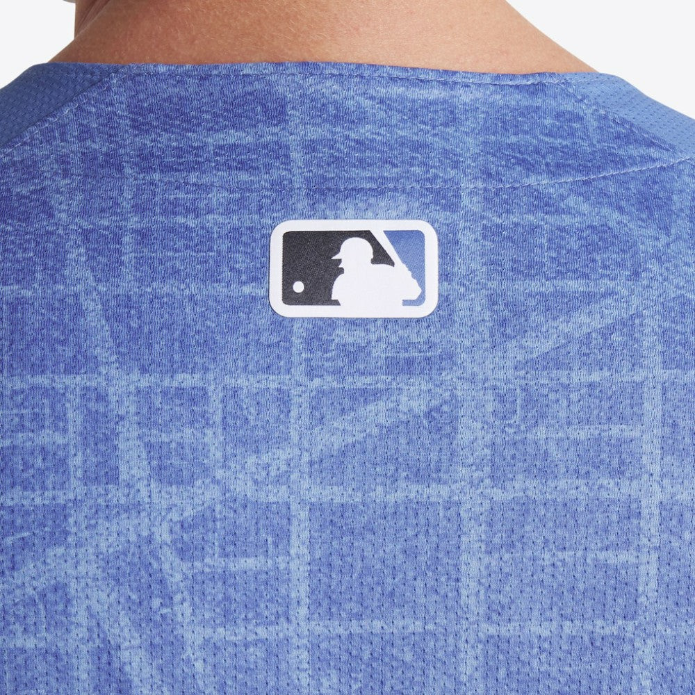 Washington Nationals Nike 2025 City Connect Limited Jersey | MLB New