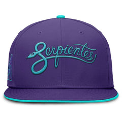 Arizona Diamondbacks Nike 2025 City Connect True Performance Fitted Hat | MLB US