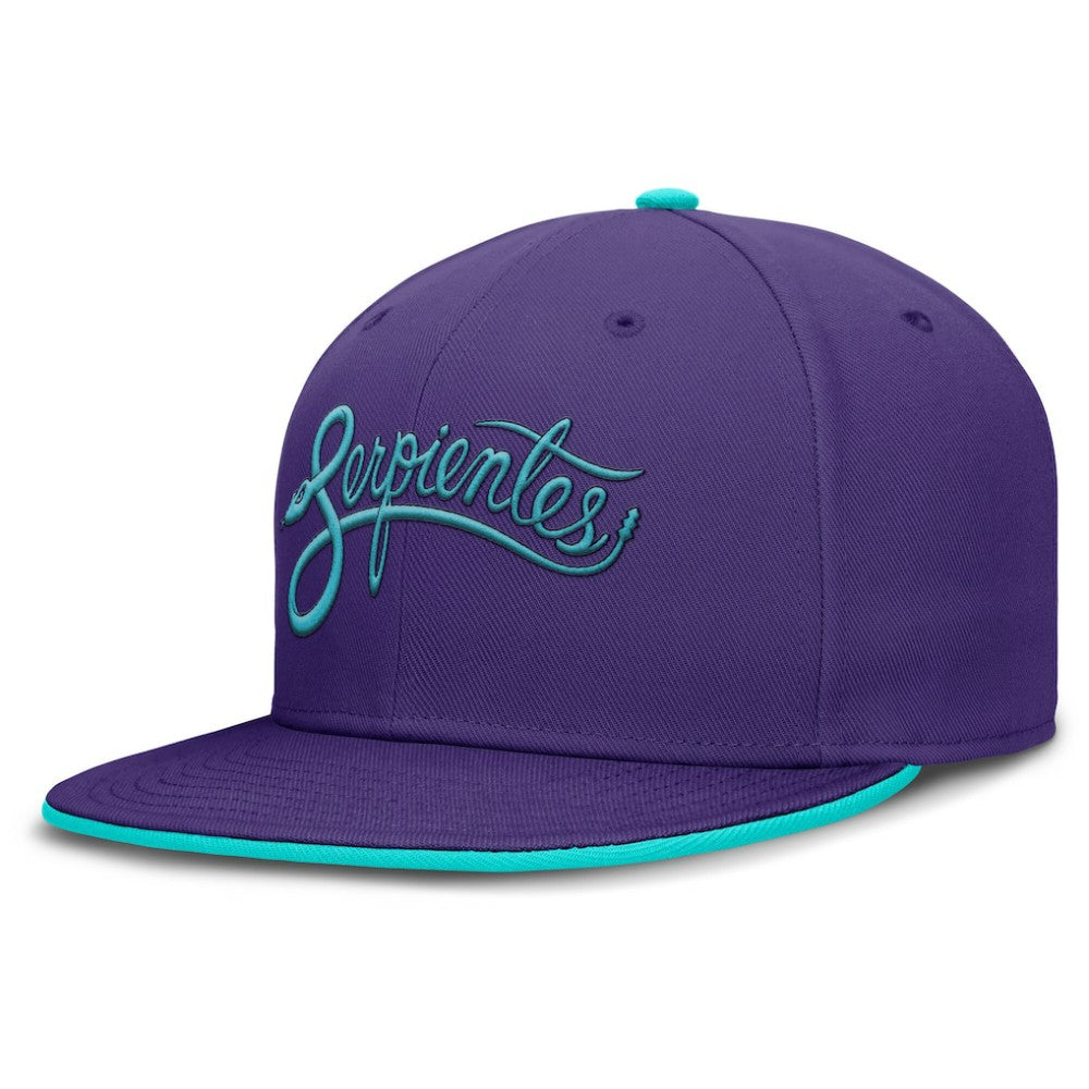 Arizona Diamondbacks Nike 2025 City Connect True Performance Fitted Hat | MLB US
