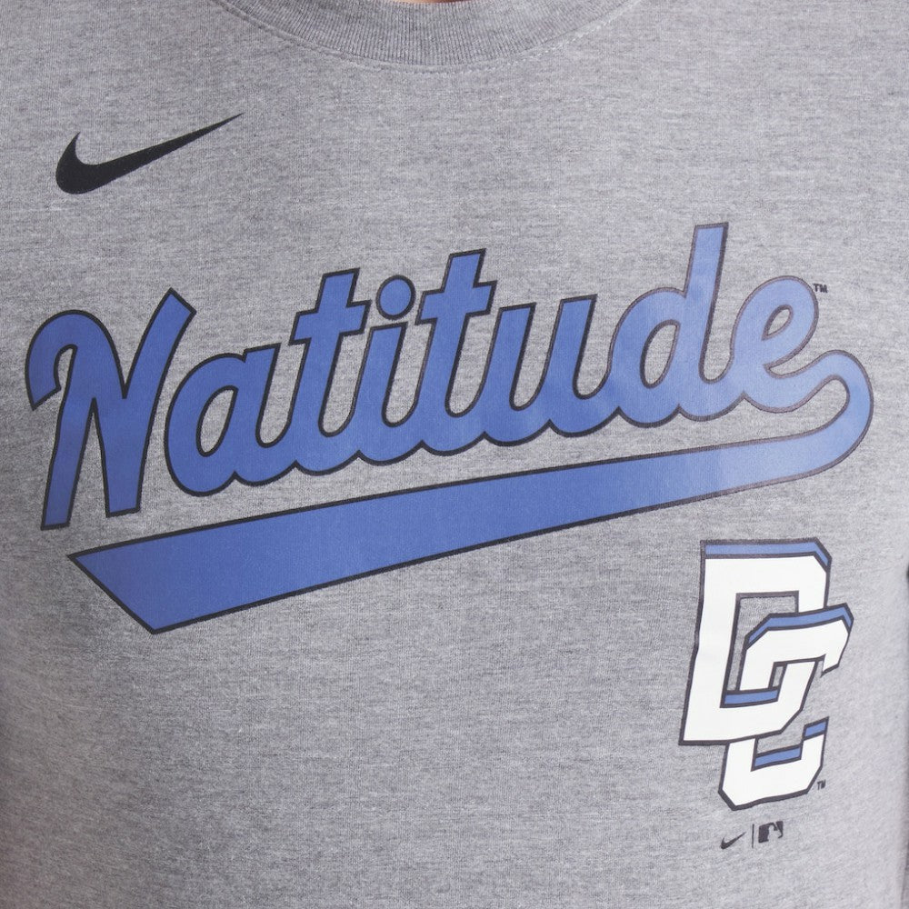Washington Nationals Nike City Connect Script Tri-Blend T-Shirt | MLB Discount