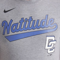 Washington Nationals Nike City Connect Script Tri-Blend T-Shirt | MLB Discount