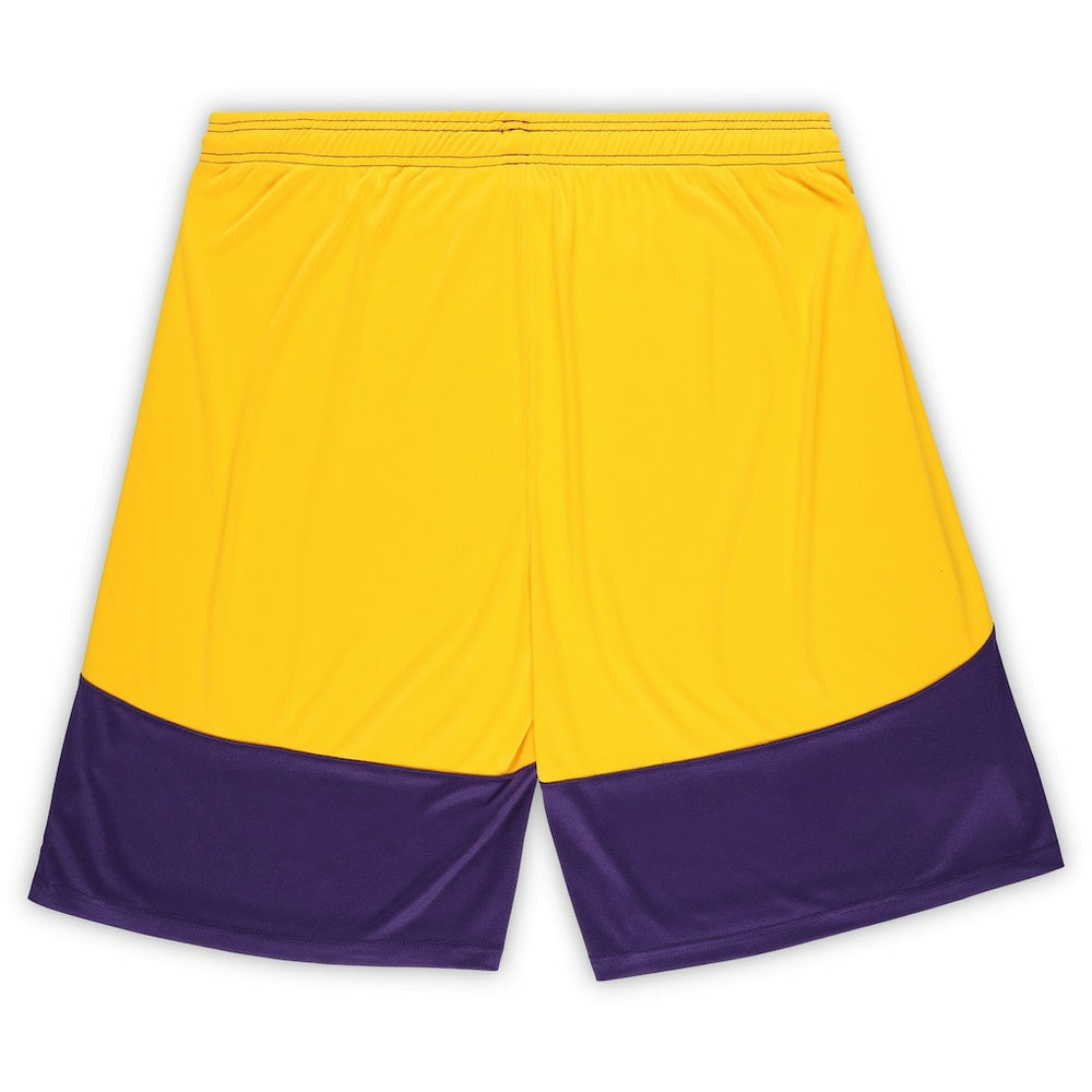 Minnesota Vikings Fanatics Big & Tall Launch Shorts