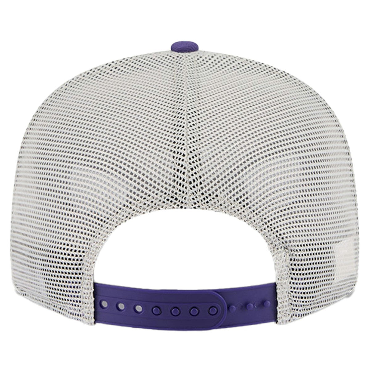 Phoenix Suns Victory Grove Split Panel 9FIFTY Snapback Hat On Sale