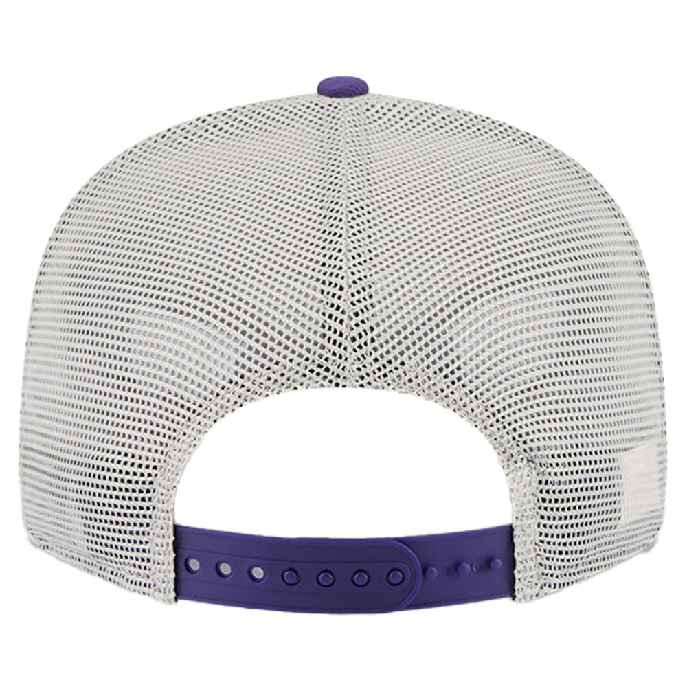 Phoenix Suns Victory Grove Split Panel 9FIFTY Snapback Hat On Sale