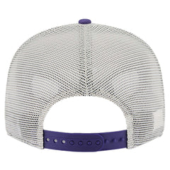 Phoenix Suns Victory Grove Split Panel 9FIFTY Snapback Hat On Sale
