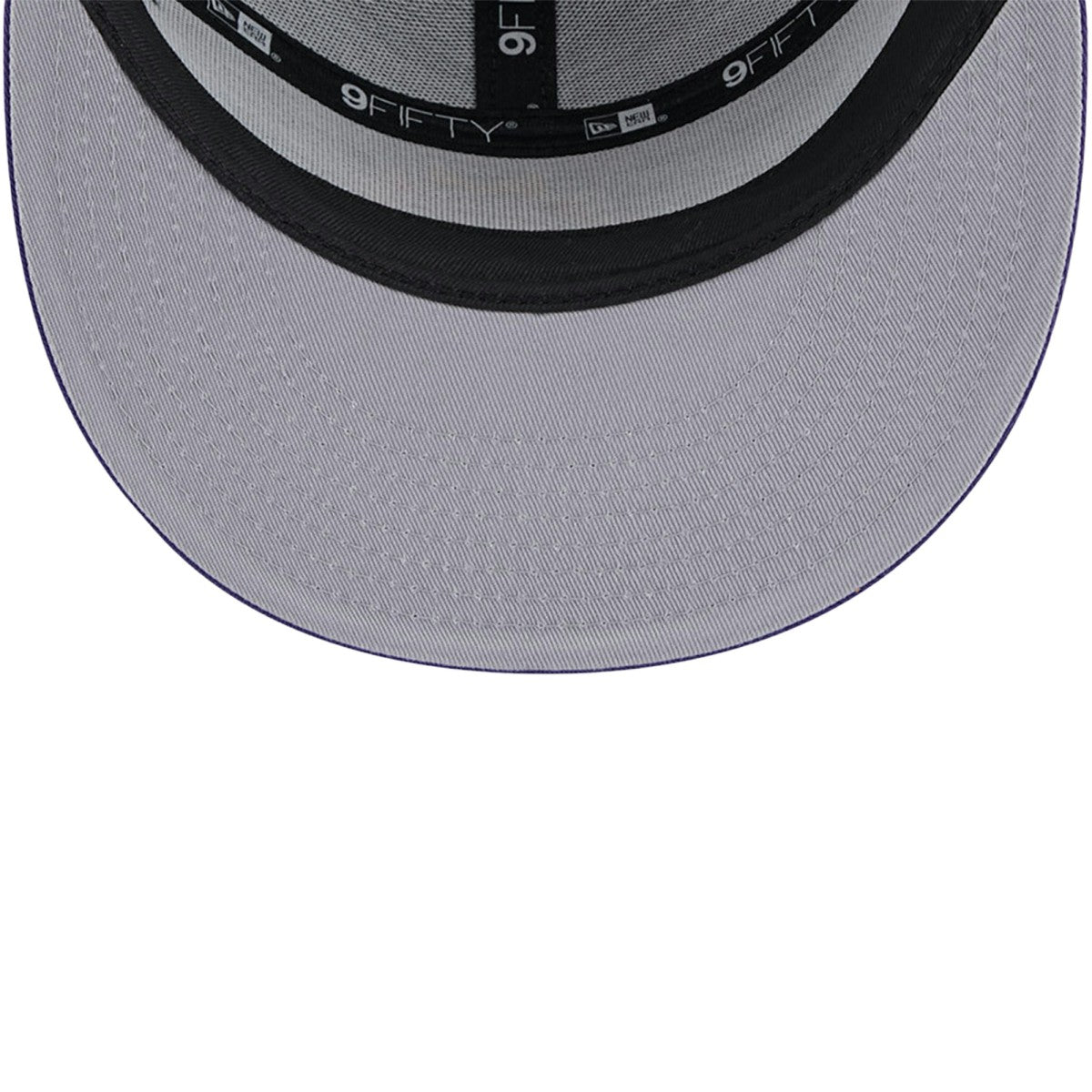 Phoenix Suns Victory Grove Split Panel 9FIFTY Snapback Hat On Sale