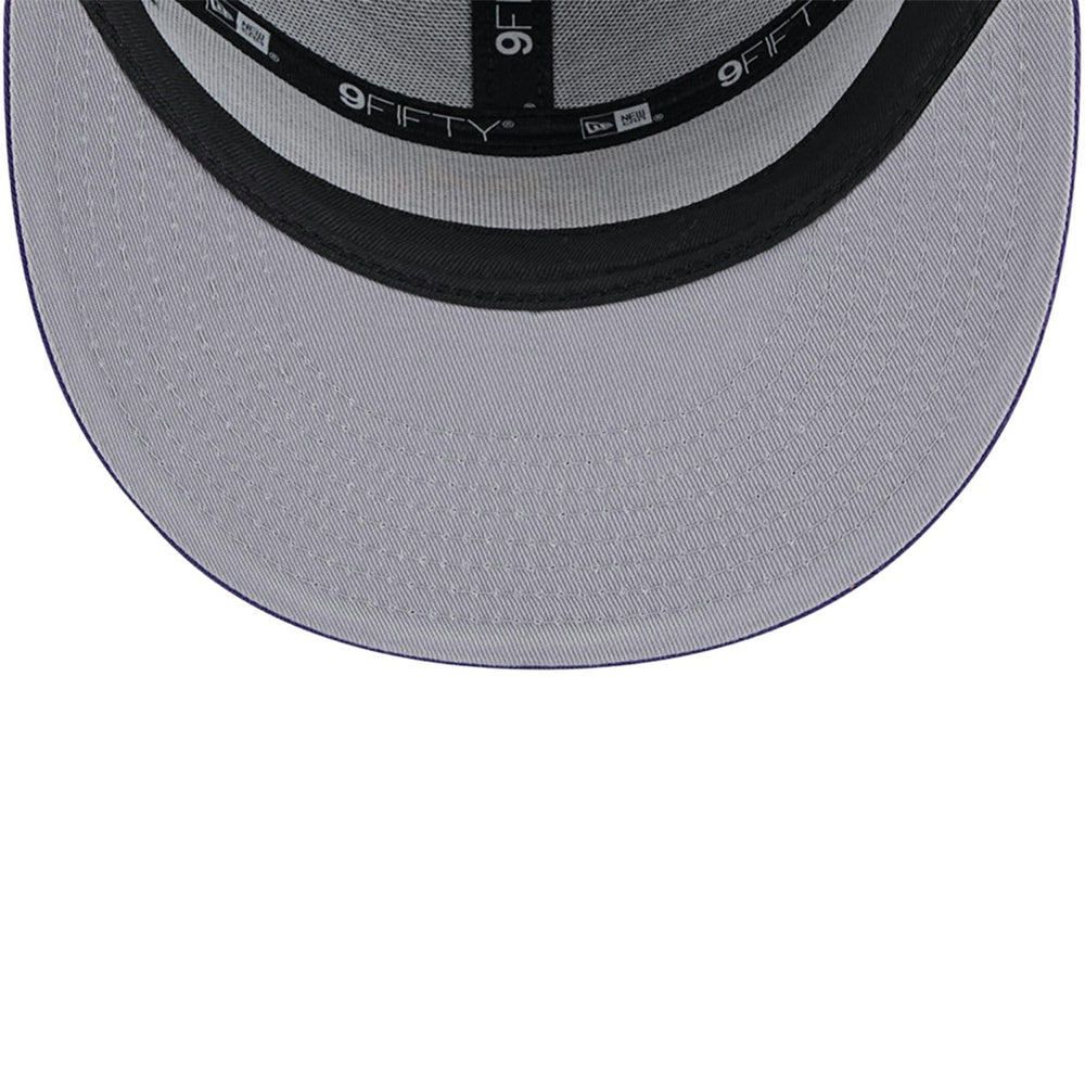 Phoenix Suns Victory Grove Split Panel 9FIFTY Snapback Hat On Sale