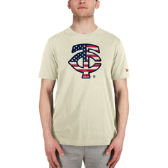 Minnesota Twins New Era Americana Flag Fill T-Shirt | MLB Outlet