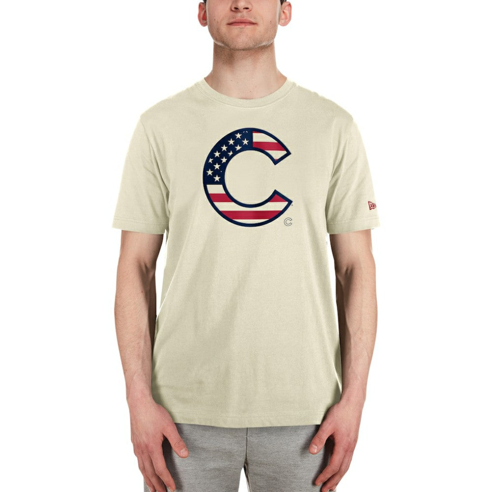 Chicago Cubs New Era Americana Flag Fill T-Shirt | MLB Near me
