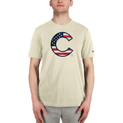 Chicago Cubs New Era Americana Flag Fill T-Shirt | MLB Near me