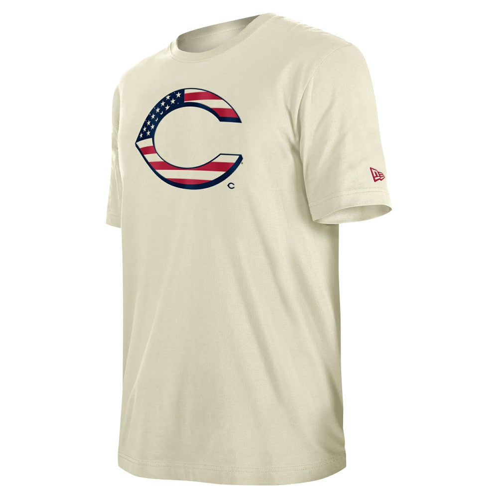 Cincinnati Reds New Era Americana Flag Fill T-Shirt | MLB On Sale